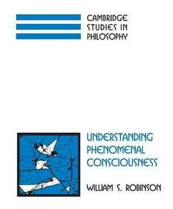 Libro Cambridge Studies In Philosophy: Understanding Phen...