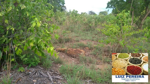 Fazenda À Venda Em Pium - To - De 170 Alqueirões (dupla Aptidão) - 1609