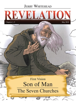 Libro Revelation: First Vision Son Of Man: The Seven Chur...