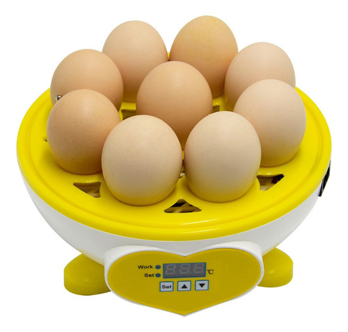 N Los Niños Regalo Huevos De Codorniz Ganso Pantalla