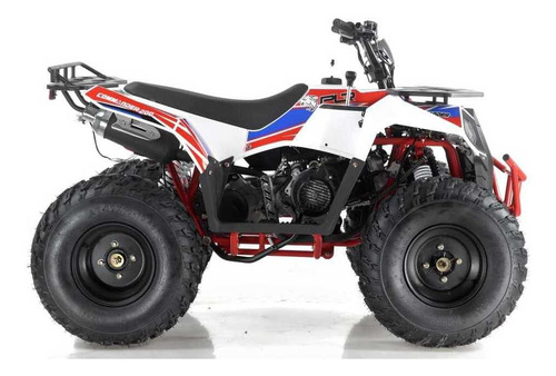 Imagen 4 de 8 de Cuatrimoto 200cc Commander Ranchera 2022 Polar P L R