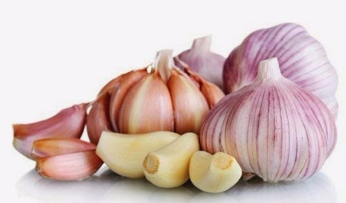 Imagem 1 de 2 de Alho Em Cabeça 1kg Roxo Para Plantio Safra 2019