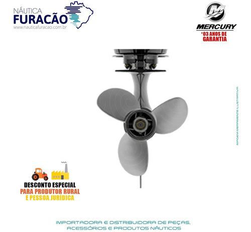 Motor De Popa Mercury 4 Tempos 250hp L V8 Dts Preto