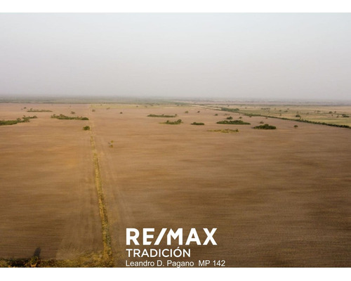 Campo En Venta -244ha Cabeza De Tigre, Sta Sylvina