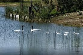 Imagen 27 de 28 de Hermoso Lote A La Laguna En Cul De Sac!!!! - El Cantón - Norte - Escobar.