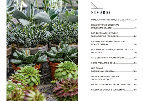 Livro - Vasos De Suculentas E Cactos - Almanaque Natureza, De Editora Europa. As Mais Fantásticas Capas, Vol. 15. Editorial Europa, Capa Dura, Edição 1 Em Português, 2025