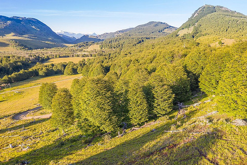 Parcela Lote 20, 0,5 Ha, 30 A 40 Minutos A Coyhaique