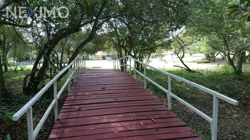 Imagen 11 de 15 de Venta De Terreno Campestre En Tampico-tuxpan