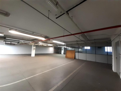 Imagem 27 de 30 de Prédio Para Alugar, 4400 M² - Vila Guilhermina - São Paulo/sp - Pr0041