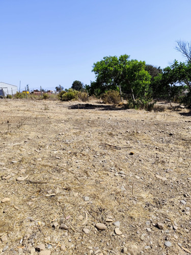 Sitios 800m2 Las Gaviotas Planos Concon