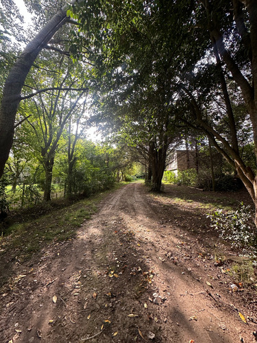 Terreno - Villa Parque Sicardi