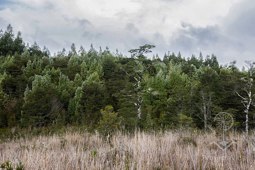 Venta Parcela 1 Hectárea En Ancud, Chiloé