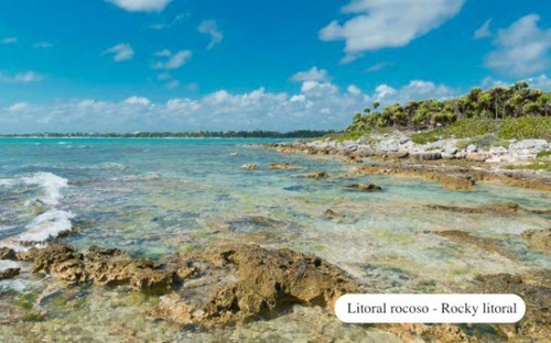Peninsula En Venta,13.5 Hectáreas Frente Al Mar, Para Constr