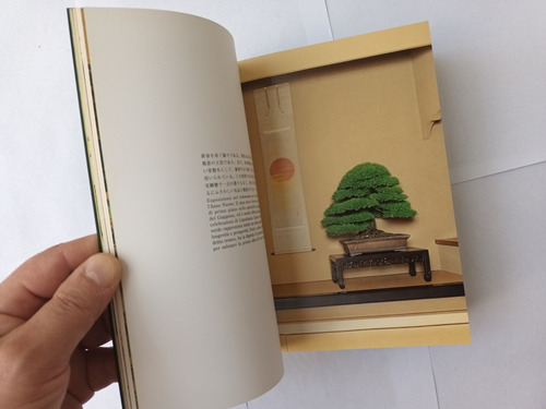 Libro Bonsai - Kunio Kobayashi. Edicion L Ippocampo Italiano (Usado)