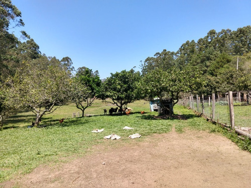 Chácara 16.000 M² - Rincão São João - Glorinha - Rs - 2238 - 34456025