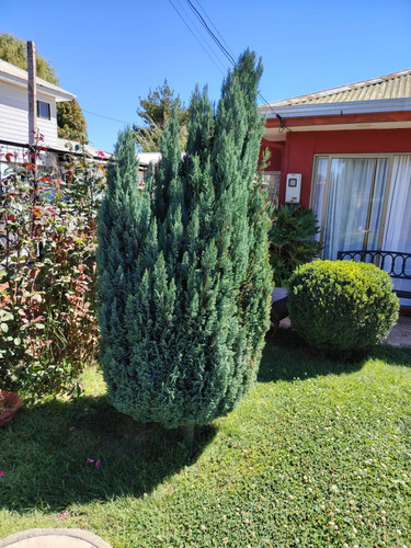 Se Vende Hermosa Casa Sector Buenos Aires Comuna De Parral