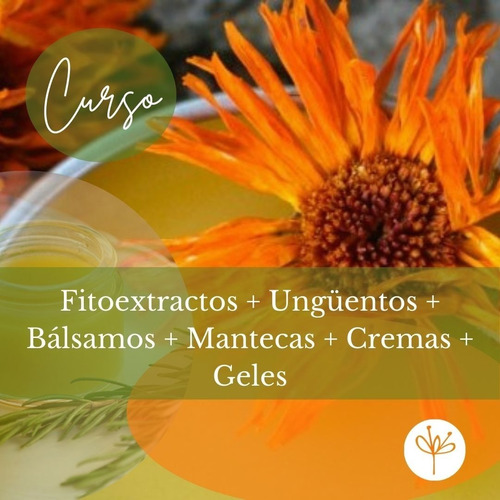 Cosmética Natural. Curso Digital. Productos Naturales.