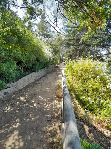Dueño Arrienda Depto Quinta Claude, Centro De Viña Del Mar