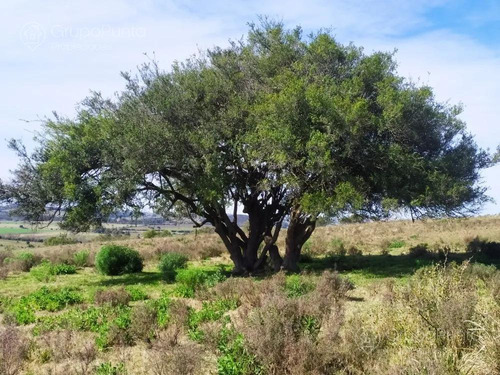 Chacras A 2 Km De Minas