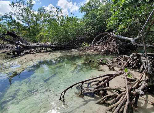 1,200,000m2 Un Paraiso Privado En Las Terrenas Samana