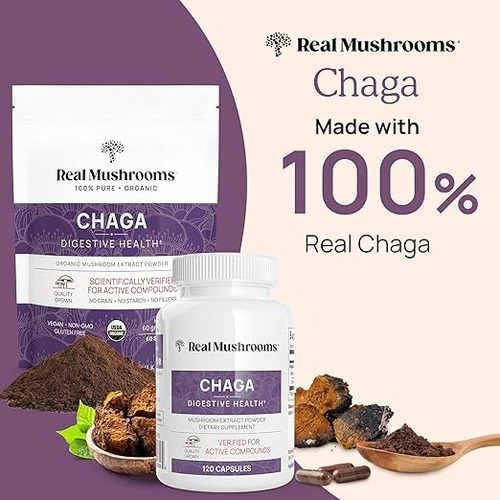Real Mushrooms Chaga Digestive Health 60 Servings