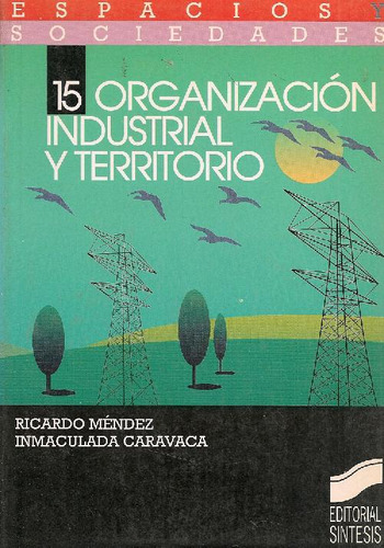 Libro Organización Industrial Y Territorio De Ricardo Mendez