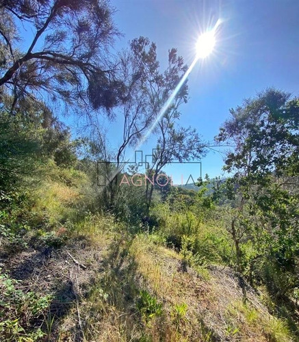 Imagen 6 de 20 de Sitio En Venta En Condominio, Puertecillo, Navidad