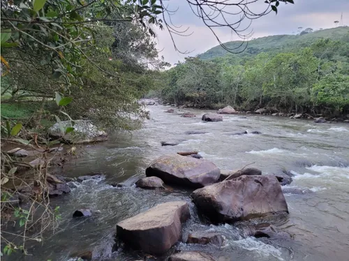 Venta Lote En Vereda Rio Claro De 1523mt2 En Jamundí, Valle 6476.