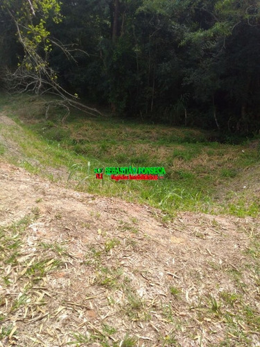 Imagem 1 de 1 de Sítio Em Paraibuna, Com Riacho E Nascente - 845