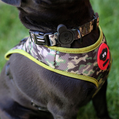 Brnx Collar Camuflaje Large