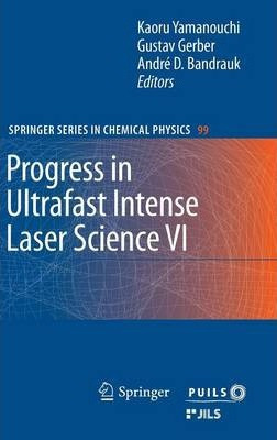 Libro Progress In Ultrafast Intense Laser Science Vi - Ka...