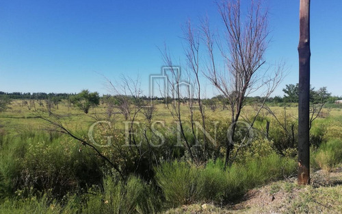 Imagen 3 de 3 de Terreno - General Alvear