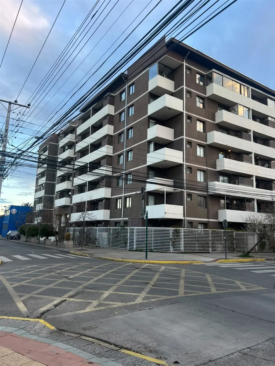 Imagen 1 de 12 de Amplio Depo En El Centro De Talca