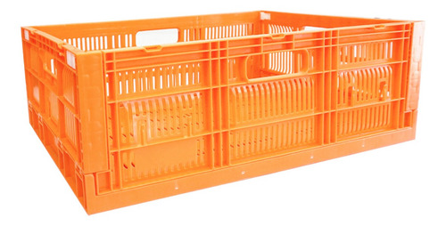 Caja Cpr Colapsable 21