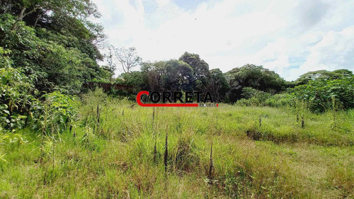Imagem 10 de 15 de Ótima Area De 42000 M² Com Nascentes Dágua E Lago Na Rodovia Bunjiro - 524