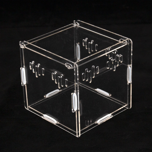 Ke Woow Nano Terrario Acrilico 11 X 11x 11 Cm 1.1 L Criadero