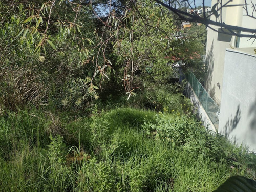 Imagen 3 de 4 de Venta Terreno En Sayavedra
