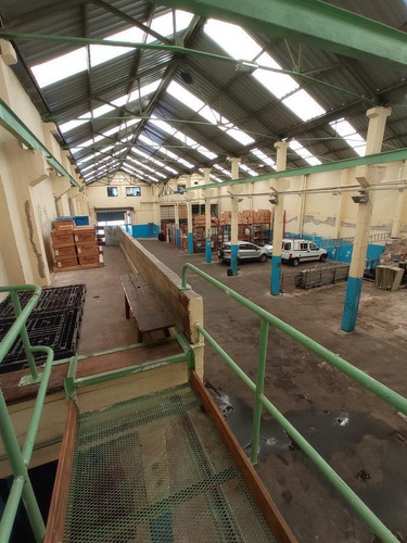 Imagen 2 de 30 de Gran Deposito Con Oficinas , 1100 M2 Proximo Al Puerto Con Renta De U$s 3500 !!