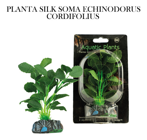 Planta Silk Soma Echinodorus Cordifolius 13cm