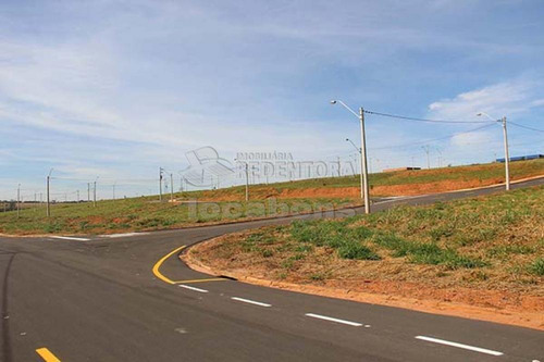 Imagem 8 de 10 de Terrenos - Ref: V8950