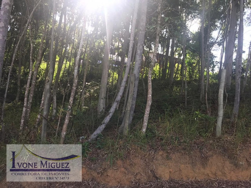 Imagem 3 de 4 de Terreno Em Recanto Dos Eucaliptos - Paty Do Alferes - 2968