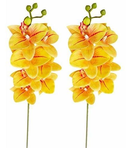 Xilyya 2pcs Toque Real Orquideas Artificiales Phalaenopsis 