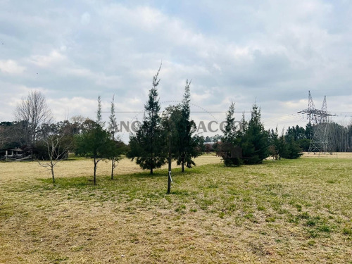Imagen 14 de 24 de Terrenos Industriales