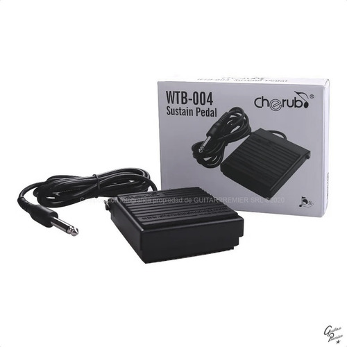 Pedal Sustain Para Teclado Organo Piano Profesional Garantia