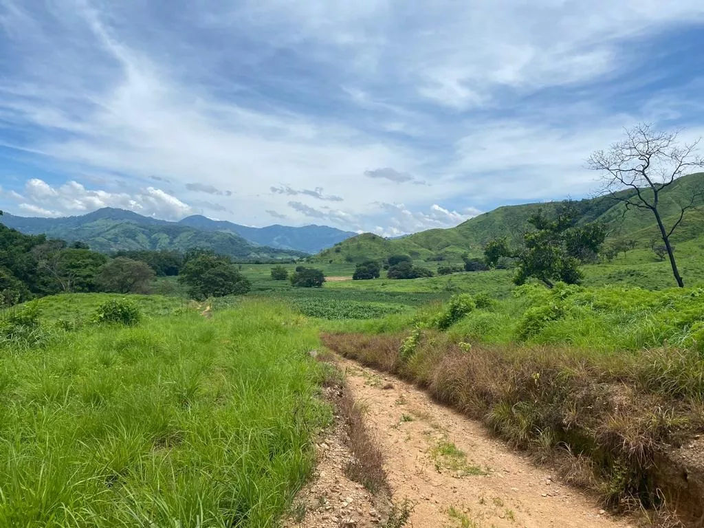 Oportunidad De Inversión Con Alta Plusvalía. Rancho Rústico De 10 Hectáreas En Villa Corzo, Chiapas