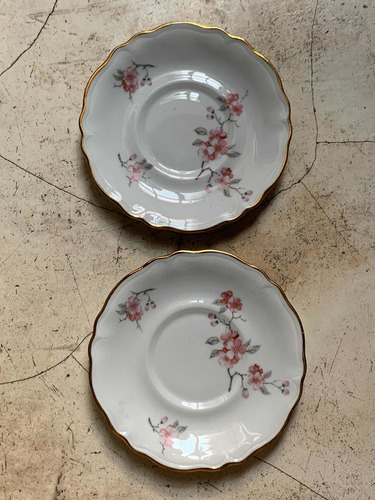 Platos Antiguos Porcelana Francesa Limoges Feuillade