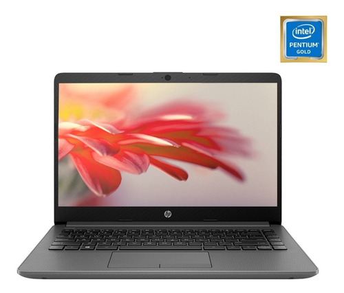 Notebook Hp Intel Pentium Gold 6405u 8gb Ram 256gb Ssd De 14