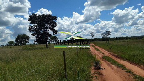 Chácara Parcelada Uberlandia 20.000 M², Entrada R$ 38.000,00 E Parcelas De - 391