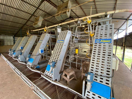 Imagen 5 de 14 de Granja En Venta En Valencia