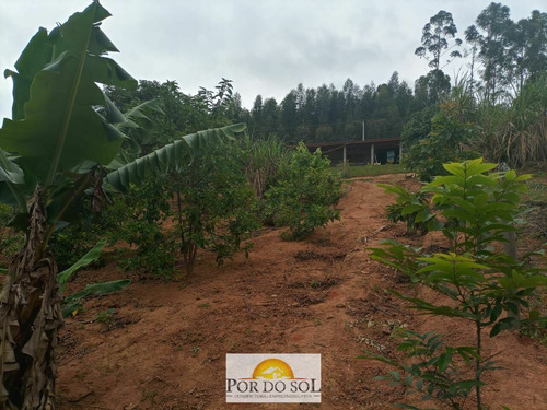 Imagem 8 de 10 de Chácara Em Pedra Bela/sp - 0211